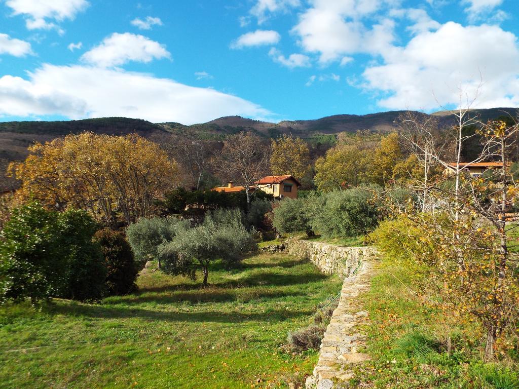 Hotel Rural El Camino كانديليدا المظهر الخارجي الصورة