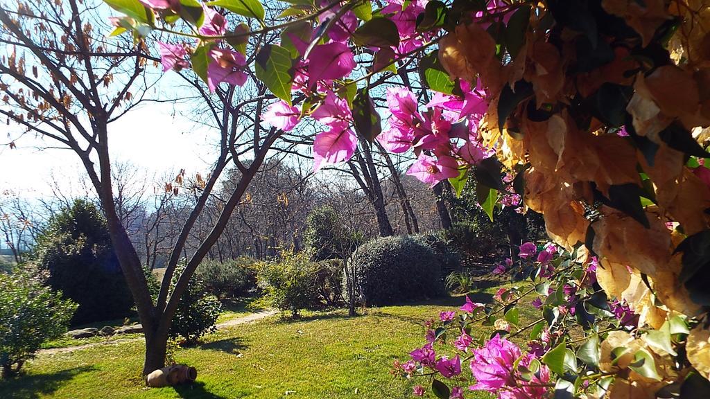 Hotel Rural El Camino كانديليدا المظهر الخارجي الصورة